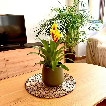 Duplex Petrales Διαμέρισμα *