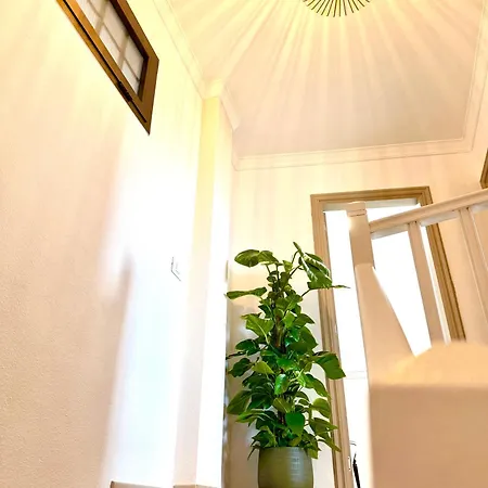 Διαμέρισμα Duplex Petrales